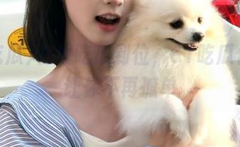 在线吃瓜到位，61吃瓜传送门让你不再孤单