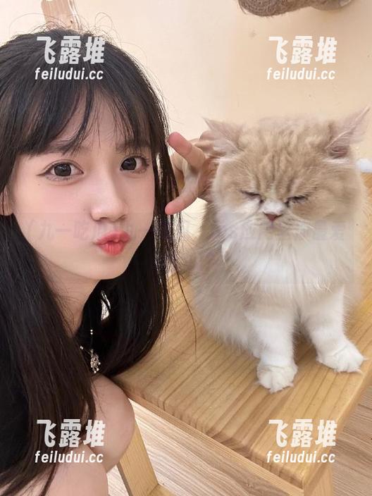 九一吃瓜，ios应用里你最爱哪个瓜？