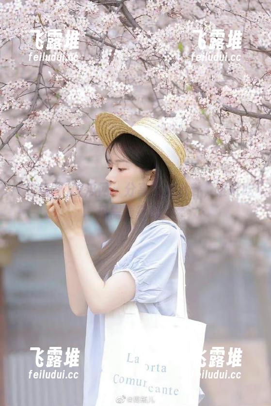 吃瓜网：分享瓜皮八卦，谁说吃瓜需要花钱！