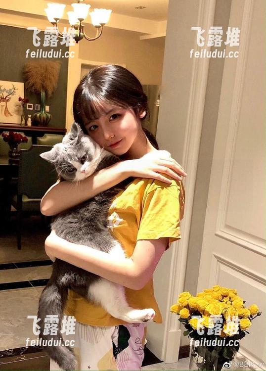登录吃瓜论坛，瞄准八卦，猛然间心跳加速