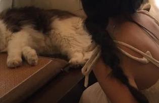 永久网址与午后的漫游：“我要吃瓜”带我飞翔！