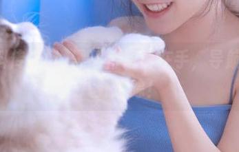 黑料传送门在手，导航你的八卦追踪！