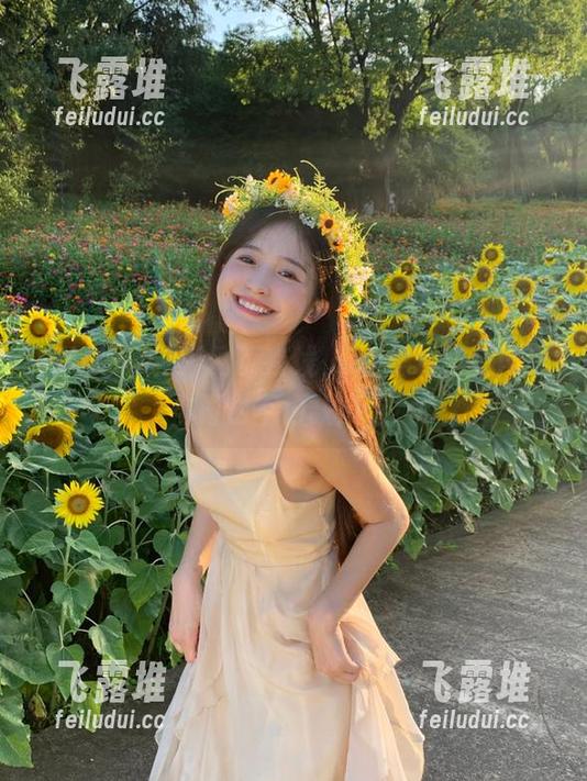 网页在线，51黑料吃瓜网让你再也不怕缺瓜吃！