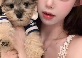 不想被黑料网老司机42的分享洗脑？你可能已经来不及了。